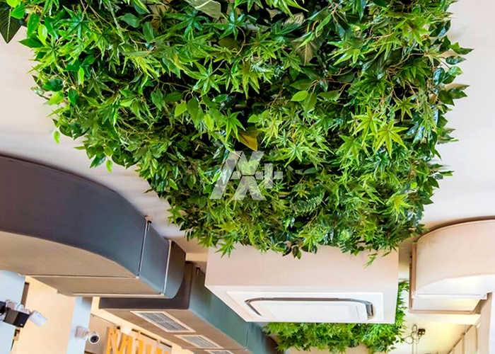 طراحی سقف سبز برای سقف مغازه